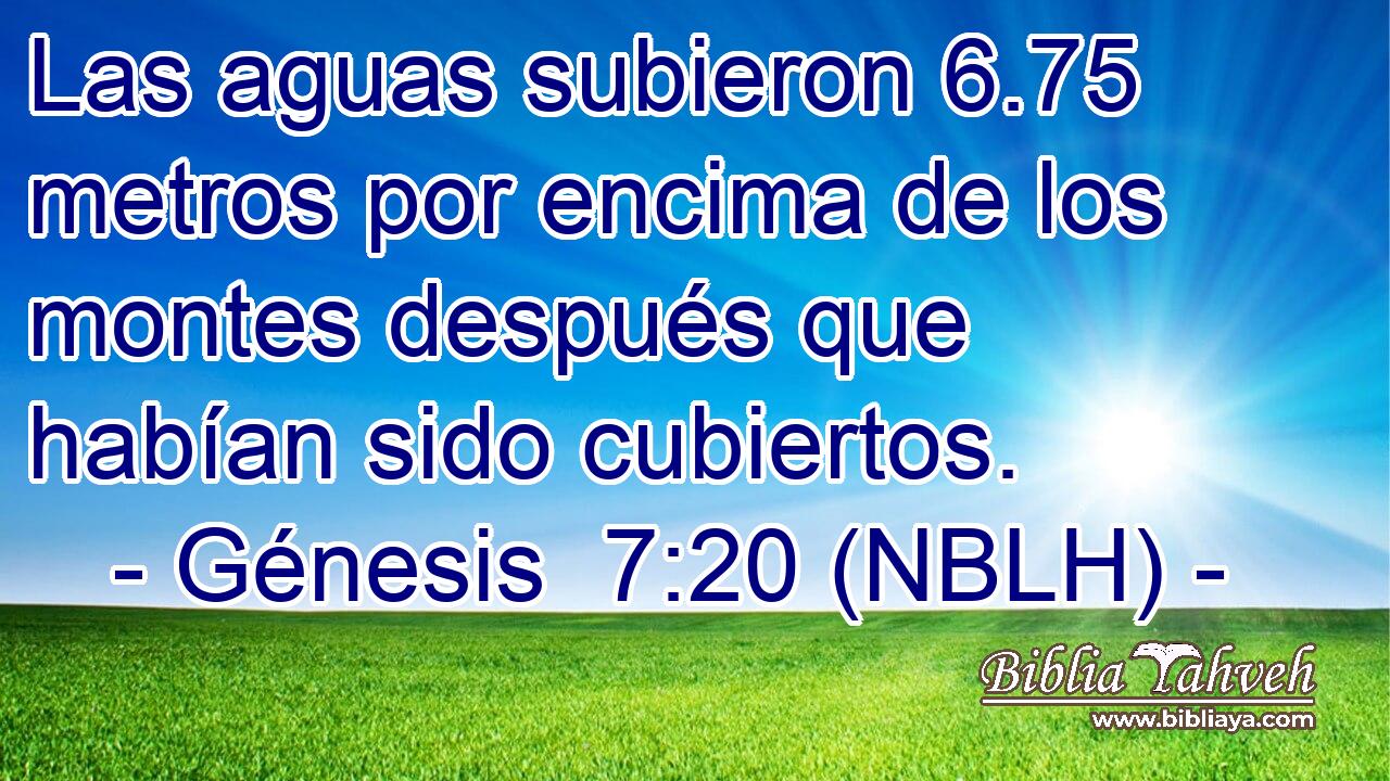  Las aguas subieron 6.75 metros por encima de los montes después que habían sido cubiertos. 