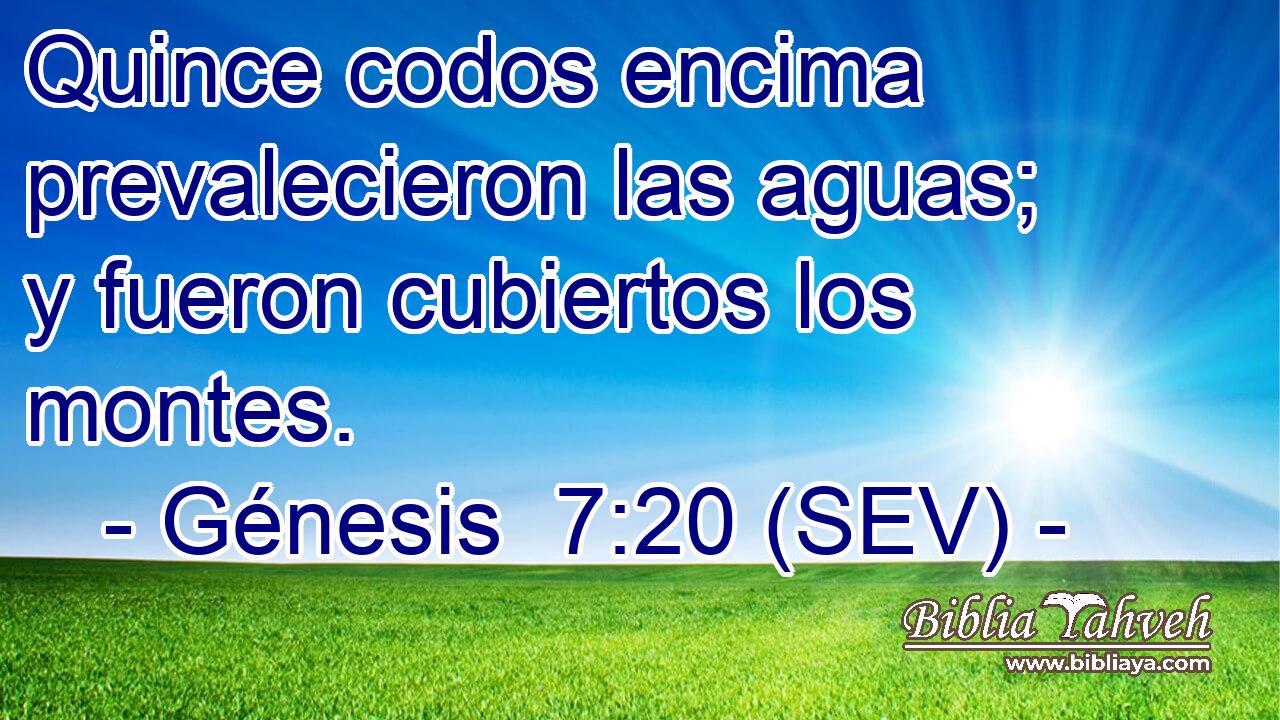 Quince codos encima prevalecieron las aguas; y fueron cubiertos los montes.