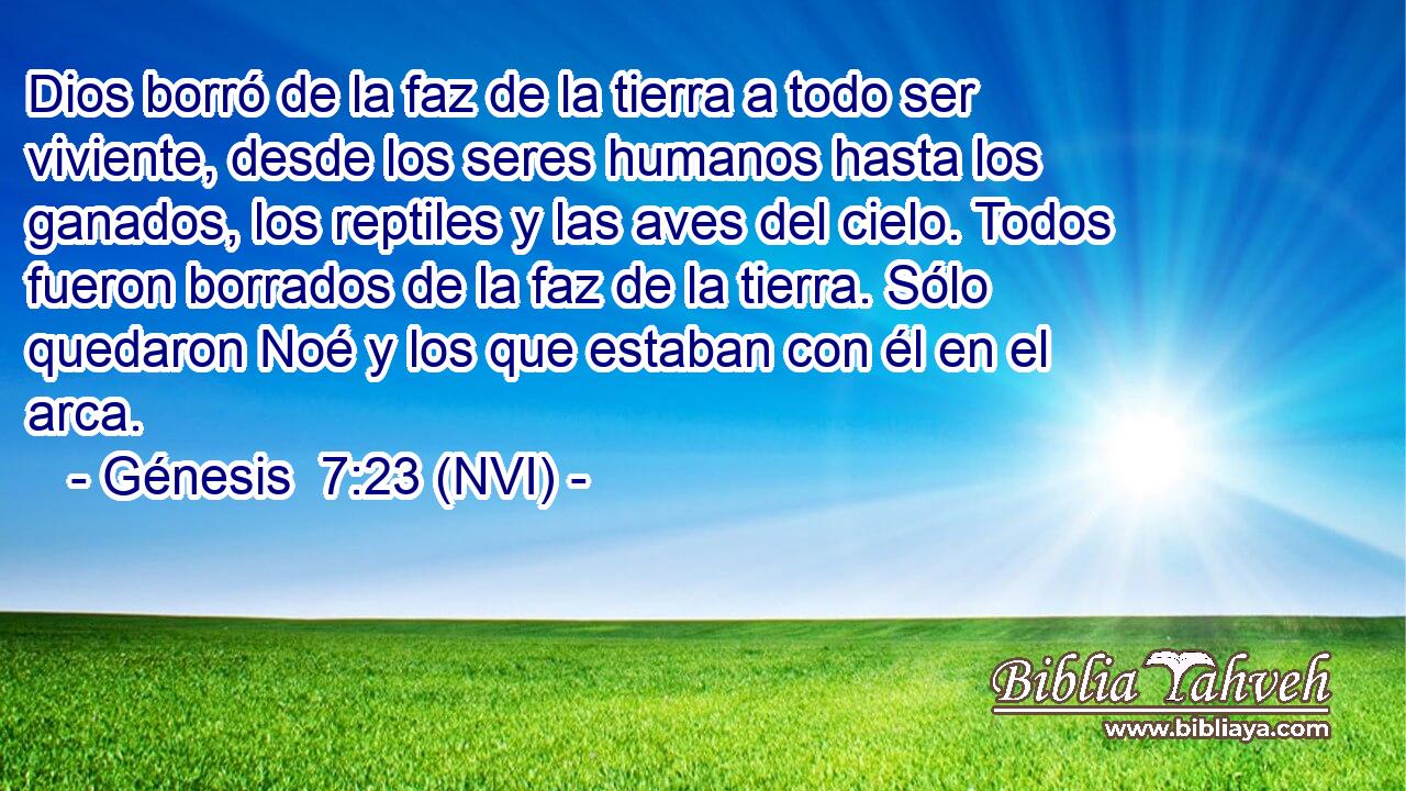  Dios borró de la faz de la tierra a todo ser viviente, desde los seres humanos hasta los ganados, los reptiles y las aves del cielo. Todos fueron borrados de la faz de la tierra. Sólo quedaron Noé y los que estaban con él en el arca. 
