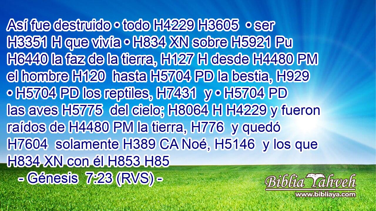 Así fue destruido • todo H4229 H3605  • ser H3351 H que vivía • H834 XN sobre H5921 Pu H6440 la faz de la tierra, H127 H desde H4480 PM el hombre H120  hasta H5704 PD la bestia, H929  • H5704 PD los reptiles, H7431  y • H5704 PD las aves H5775  del cielo; H8064 H H4229 y fueron raídos de H4480 PM la tierra, H776  y quedó H7604  solamente H389 CA Noé, H5146  y los que H834 XN con él H853 H85