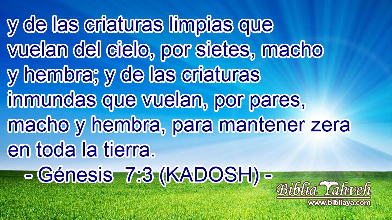  y de las criaturas limpias que vuelan del cielo, por sietes, macho y hembra; y de las criaturas inmundas que vuelan, por pares, macho y hembra, para mantener zera en toda la tierra. 