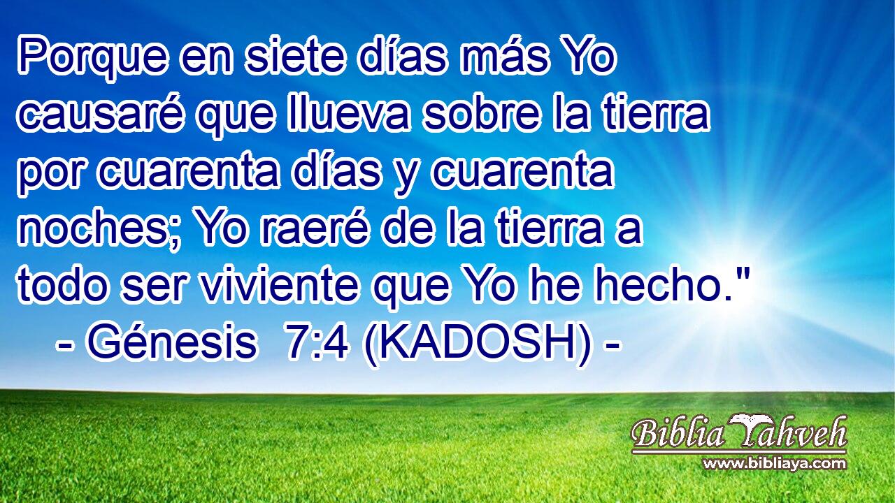  Porque en siete días más Yo causaré que llueva sobre la tierra por cuarenta días y cuarenta noches; Yo raeré de la tierra a todo ser viviente que Yo he hecho.