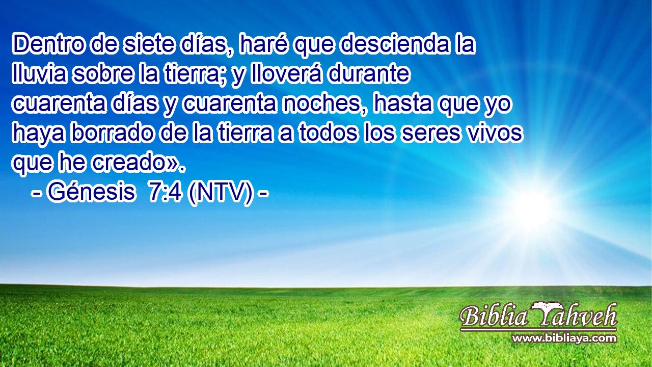 Dentro de siete días, haré que descienda la lluvia sobre la tierra; y lloverá durante cuarenta días y cuarenta noches, hasta que yo haya borrado de la tierra a todos los seres vivos que he creado».