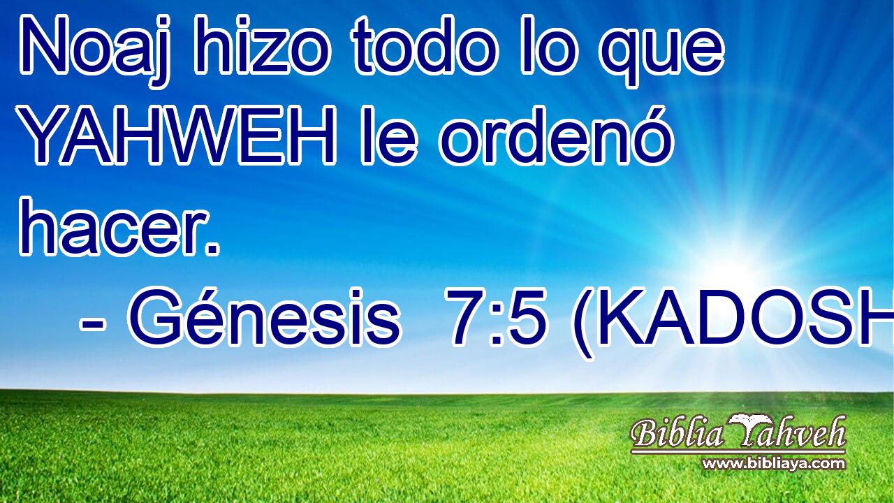  Noaj hizo todo lo que YAHWEH le ordenó hacer. 