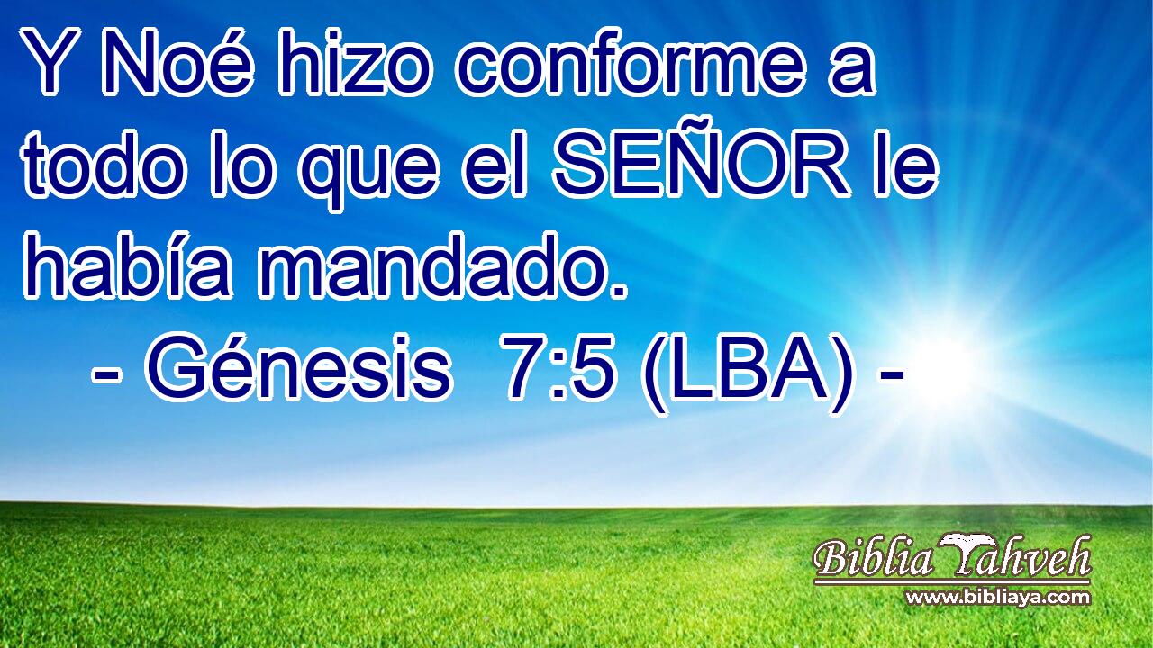 Y Noé hizo conforme a todo lo que el SEÑOR le había mandado.