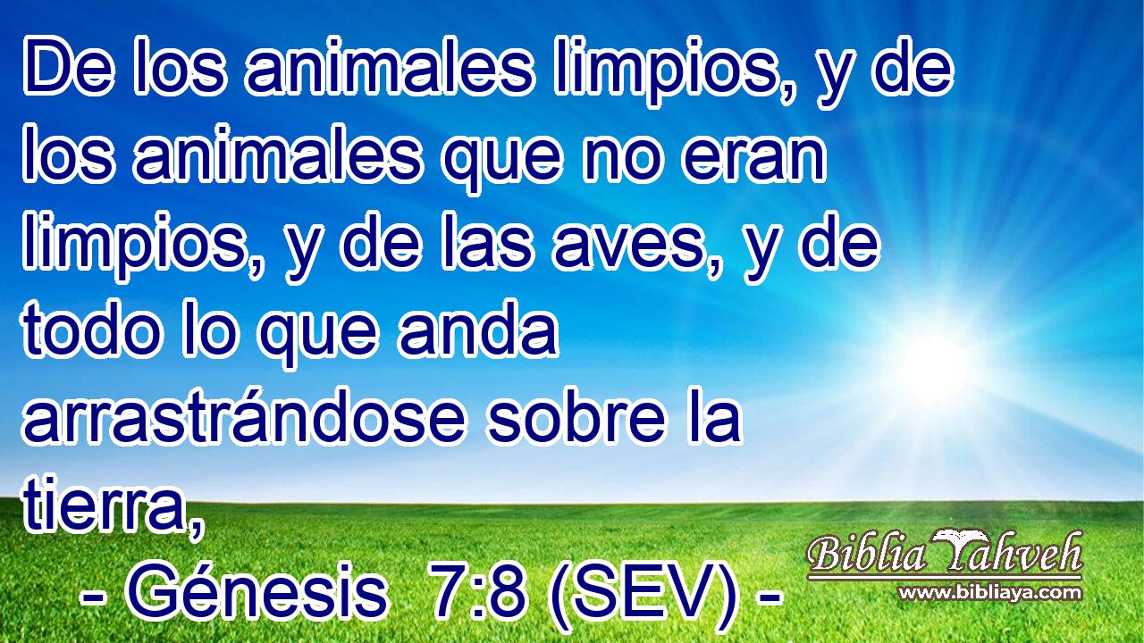 De los animales limpios, y de los animales que no eran limpios, y de las aves, y de todo lo que anda arrastrándose sobre la tierra,