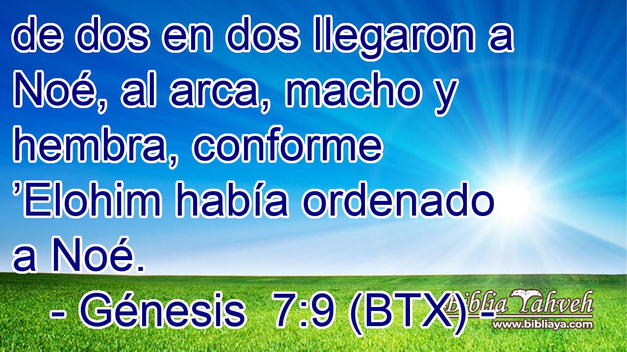 de dos en dos llegaron a Noé, al arca, macho y hembra, conforme ’Elohim había ordenado a Noé.