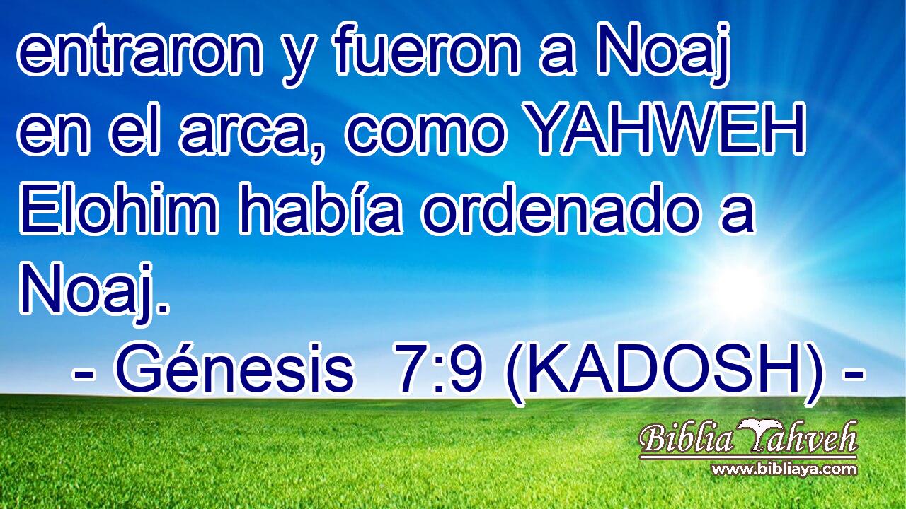  entraron y fueron a Noaj en el arca, como YAHWEH Elohim había ordenado a Noaj. 