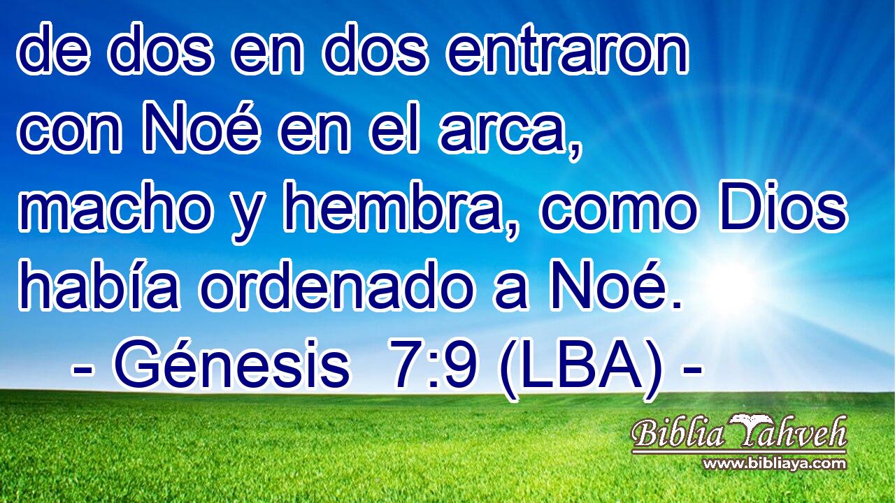 de dos en dos entraron con Noé en el arca, macho y hembra, como Dios había ordenado a Noé.