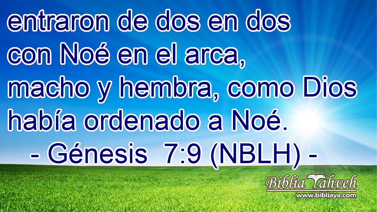  entraron de dos en dos con Noé en el arca, macho y hembra, como Dios había ordenado a Noé. 