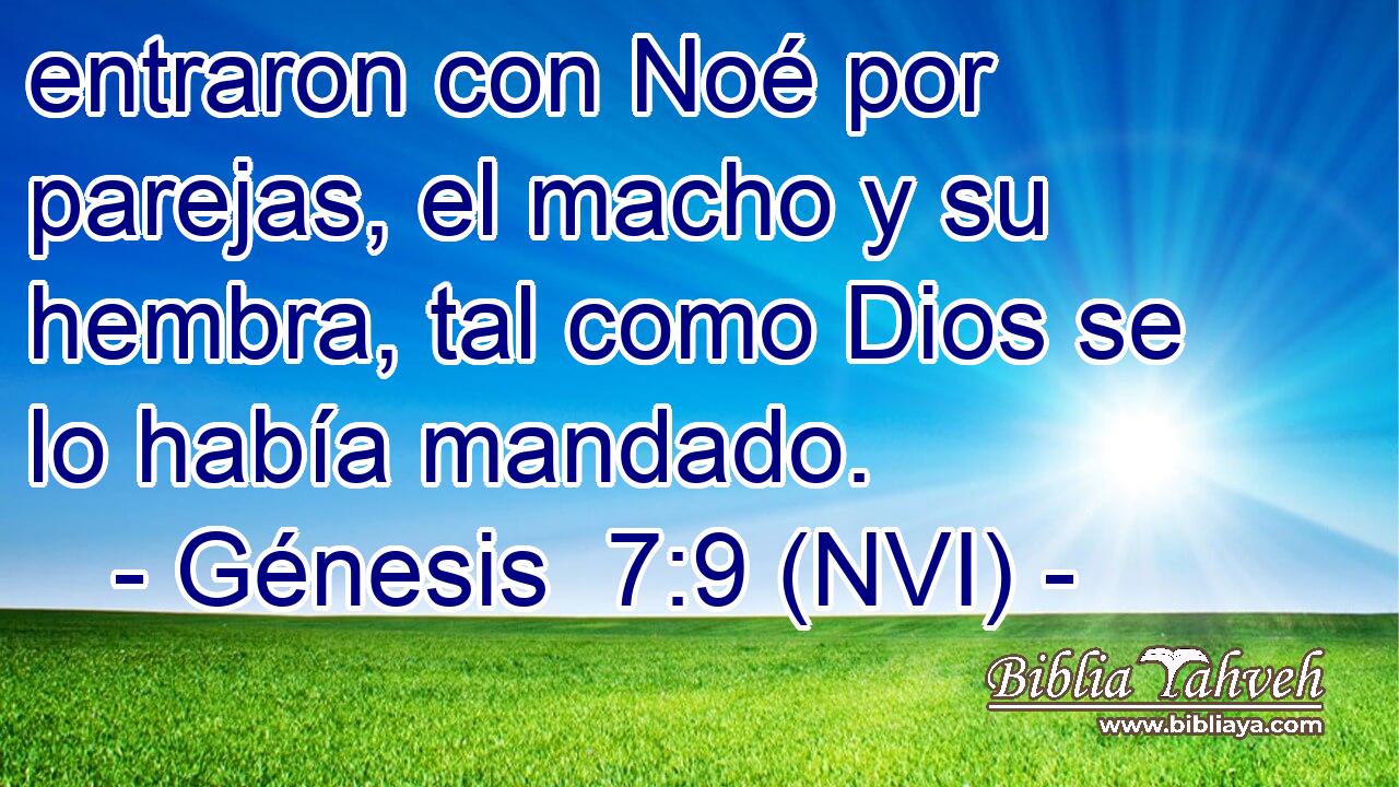 entraron con Noé por parejas, el macho y su hembra, tal como Dios se lo había mandado. 