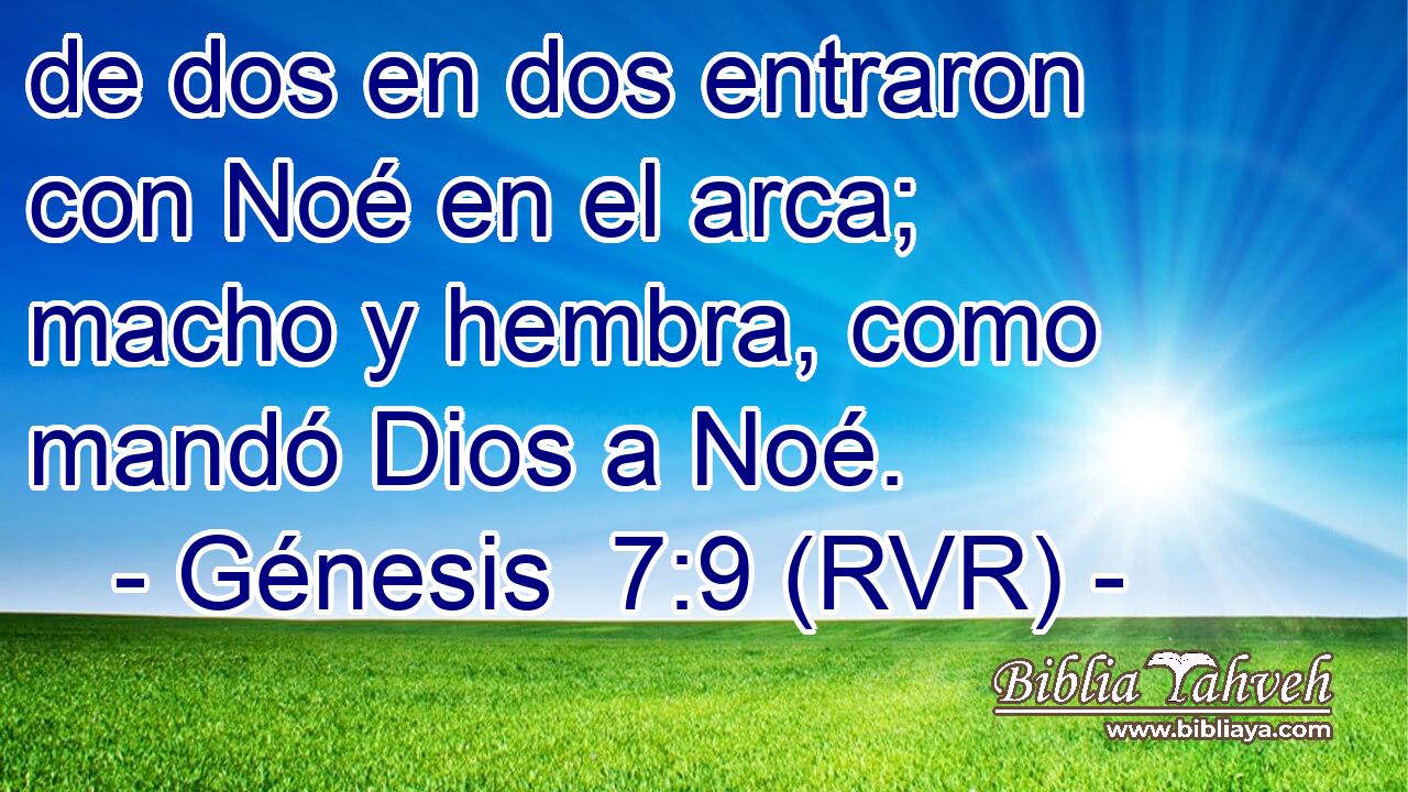 de dos en dos entraron con Noé en el arca; macho y hembra, como mandó Dios a Noé.