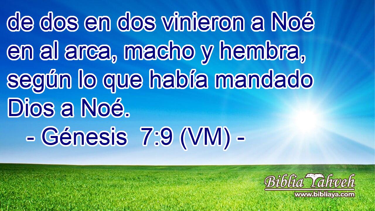  de dos en dos vinieron a Noé en al arca, macho y hembra, según lo que había mandado Dios a Noé. 