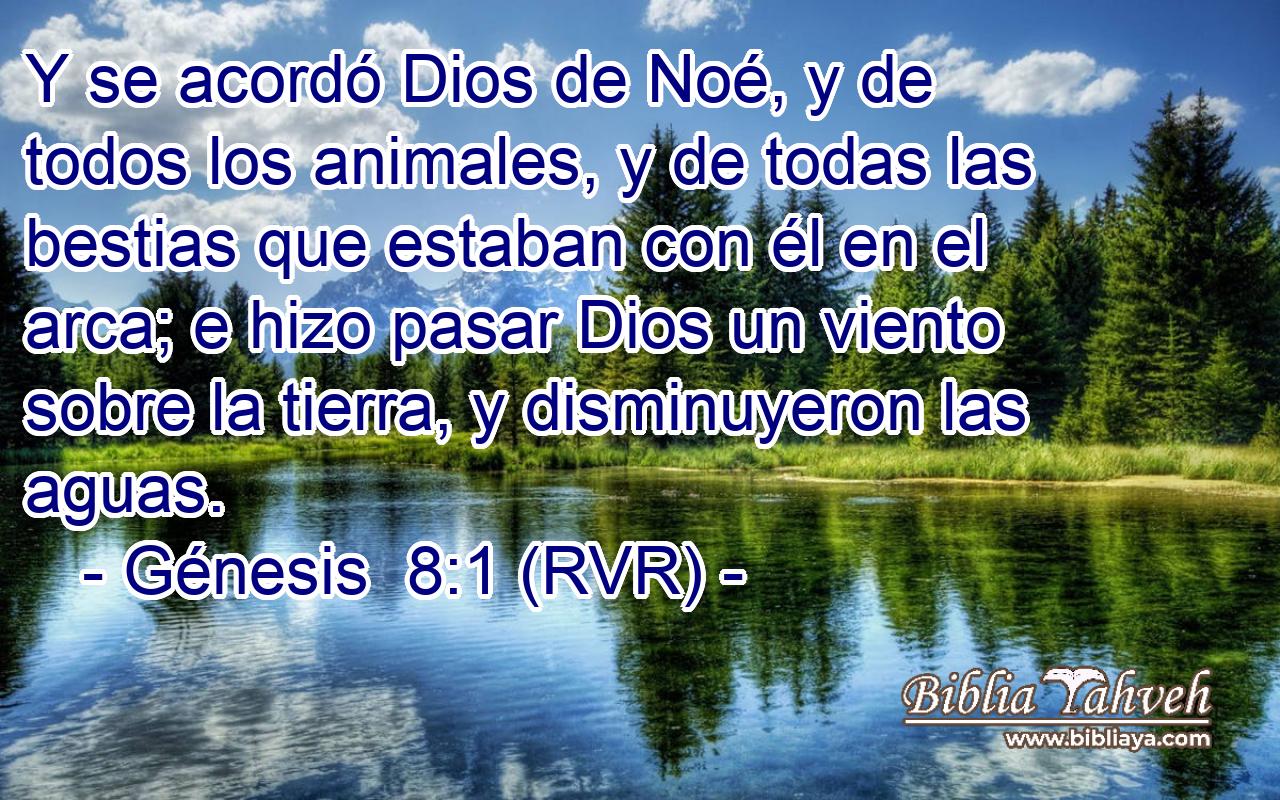Y se acordó Dios de Noé, y de todos los animales, y de todas las bestias que estaban con él en el arca; e hizo pasar Dios un viento sobre la tierra, y disminuyeron las aguas.