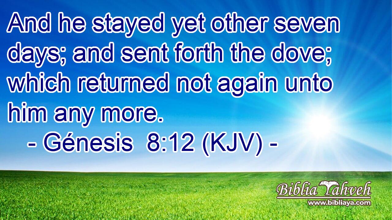 And he stayed yet other seven days; and sent forth the dove; which returned not again unto him any more.