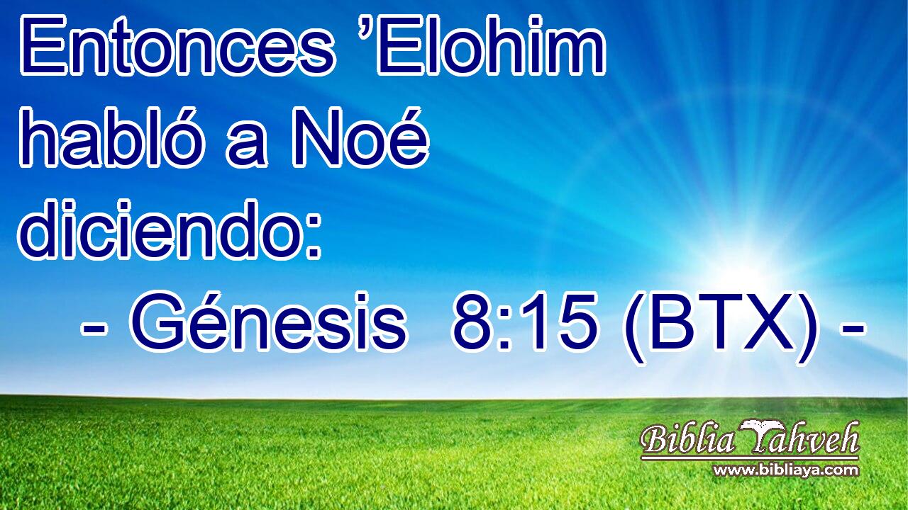 Entonces ’Elohim habló a Noé diciendo: