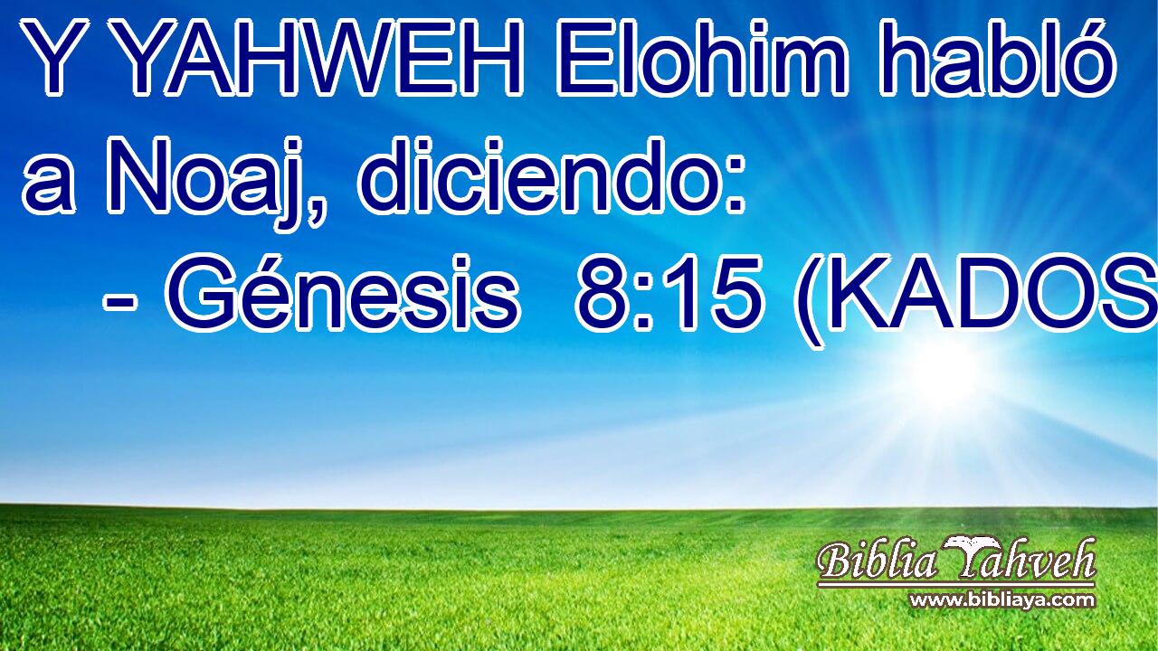  Y YAHWEH Elohim habló a Noaj, diciendo: 