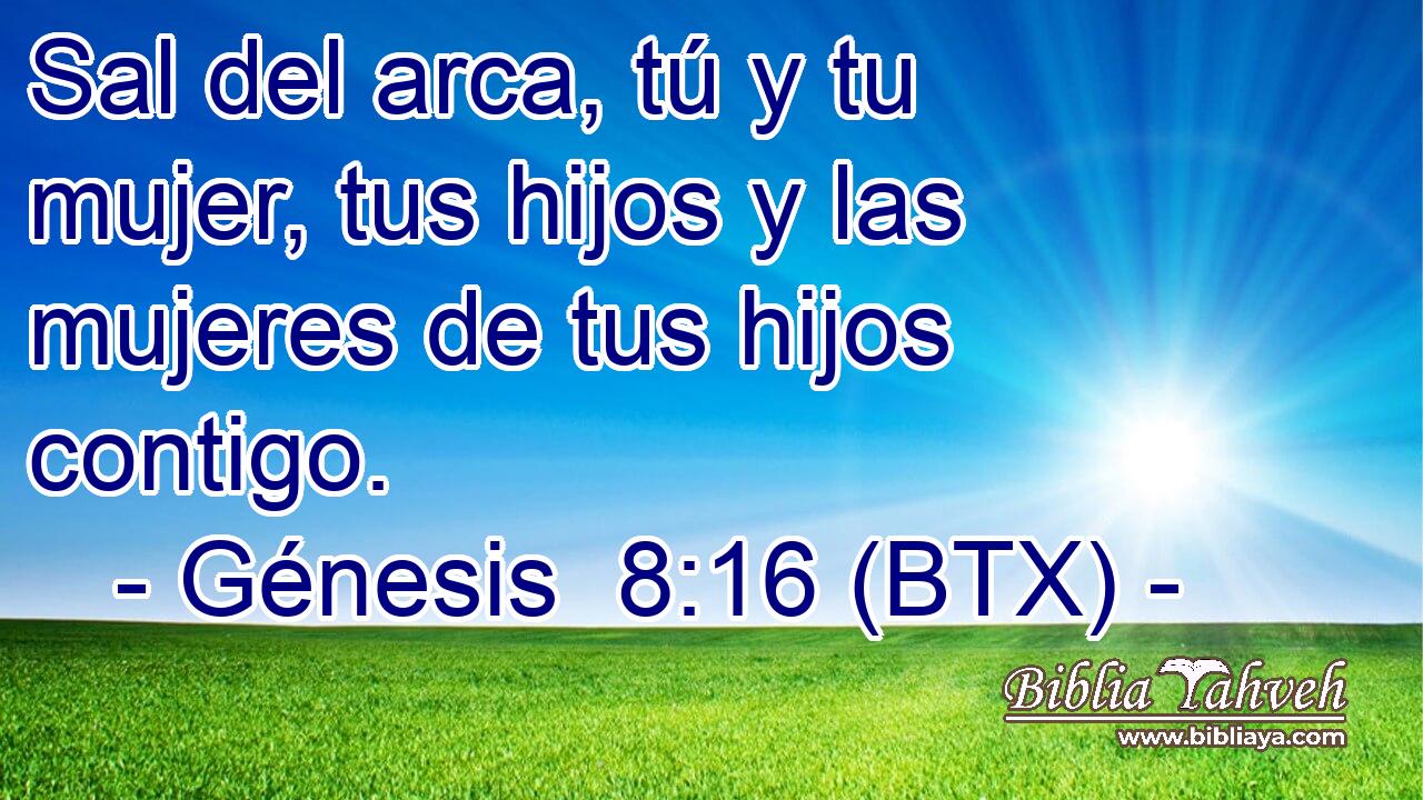 Sal del arca, tú y tu mujer, tus hijos y las mujeres de tus hijos contigo.