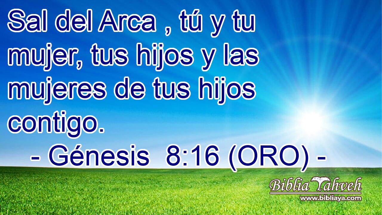  Sal del Arca , tú y tu mujer, tus hijos y las mujeres de tus hijos contigo. 