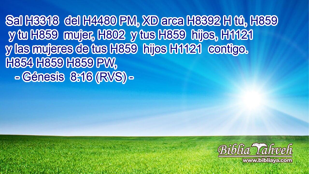 Sal H3318  del H4480 PM, XD arca H8392 H tú, H859  y tu H859  mujer, H802  y tus H859  hijos, H1121  y las mujeres de tus H859  hijos H1121  contigo. H854 H859 H859 PW,  