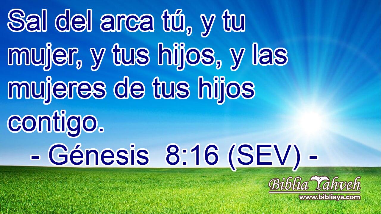 Sal del arca tú, y tu mujer, y tus hijos, y las mujeres de tus hijos contigo.