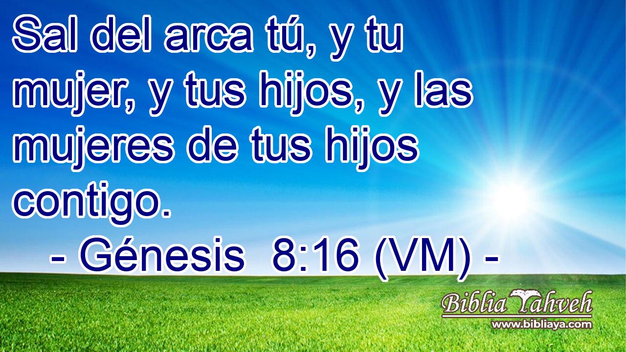  Sal del arca tú, y tu mujer, y tus hijos, y las mujeres de tus hijos contigo. 