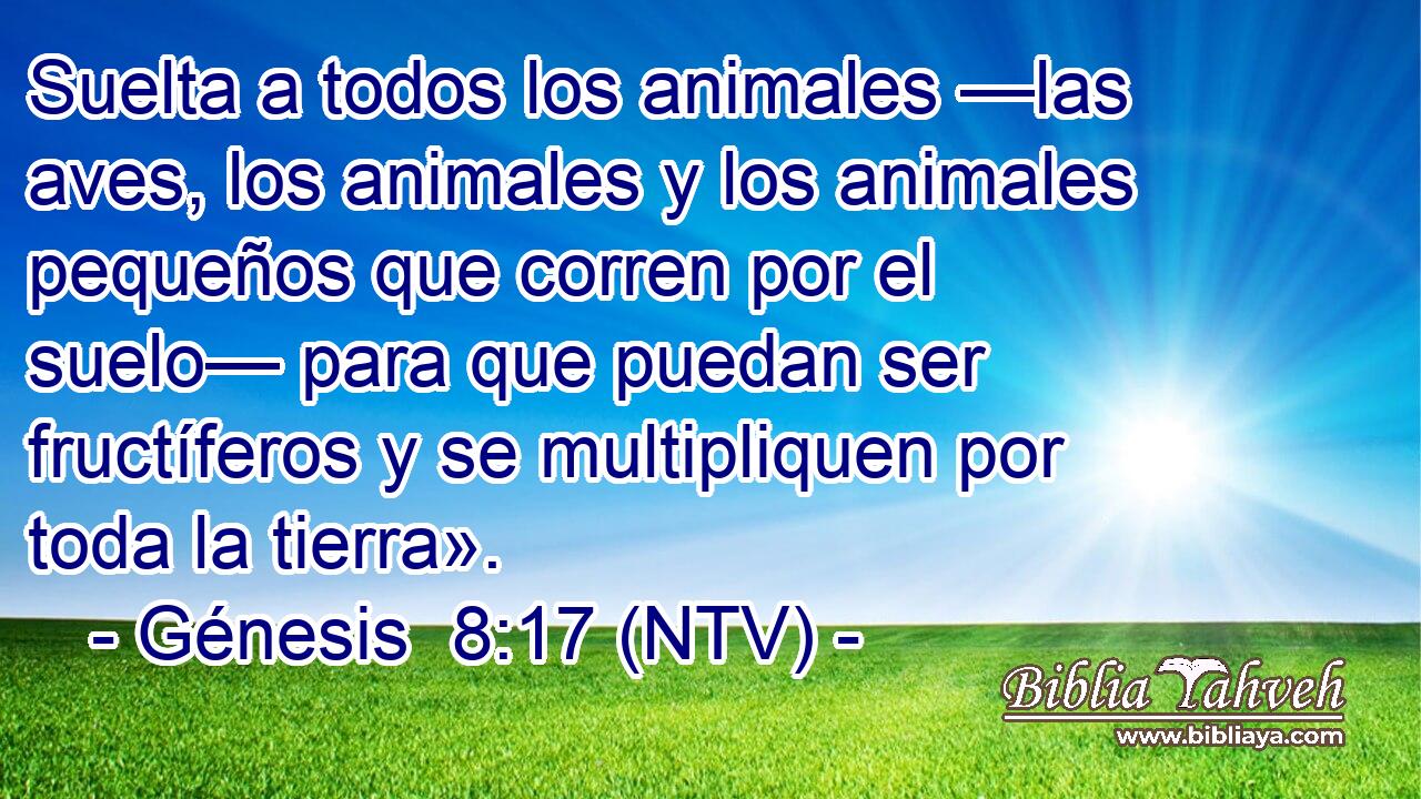 Suelta a todos los animales —las aves, los animales y los animales pequeños que corren por el suelo— para que puedan ser fructíferos y se multipliquen por toda la tierra».