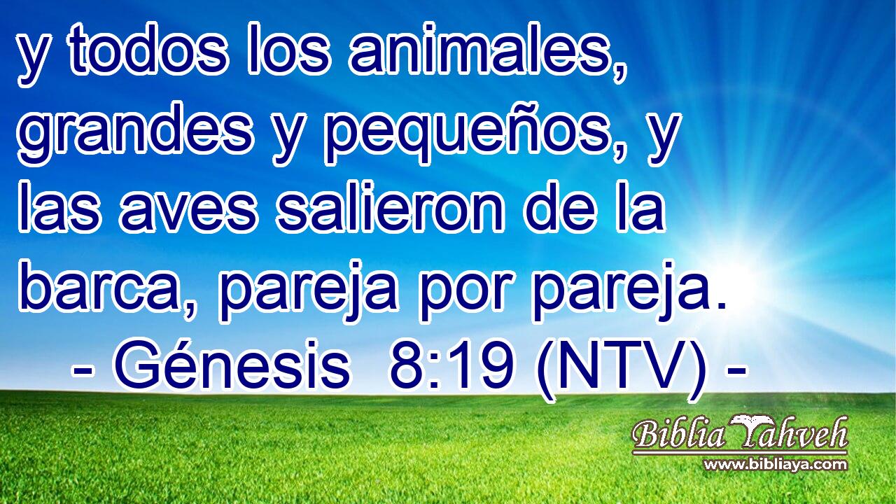 y todos los animales, grandes y pequeños, y las aves salieron de la barca, pareja por pareja.