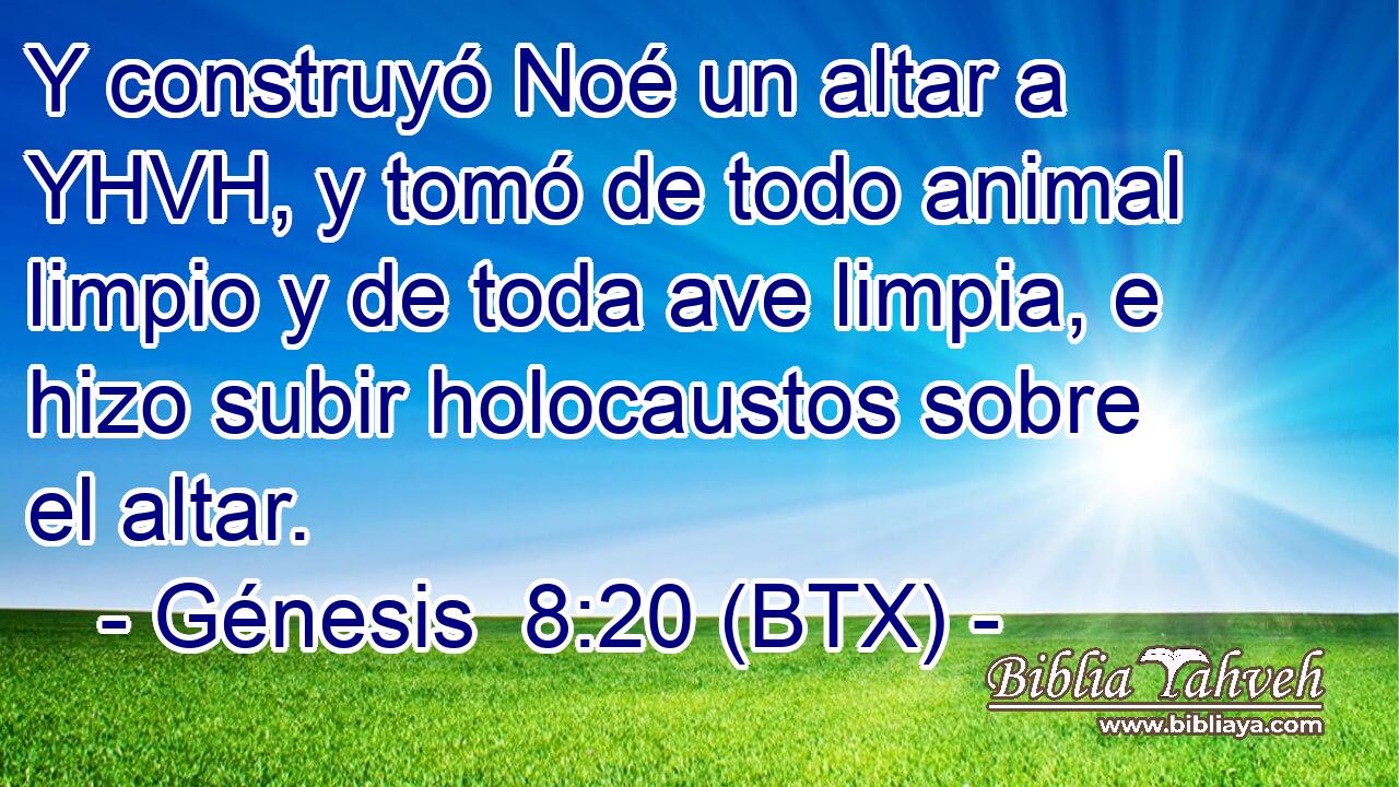 Y construyó Noé un altar a YHVH, y tomó de todo animal limpio y de toda ave limpia, e hizo subir holocaustos sobre el altar.