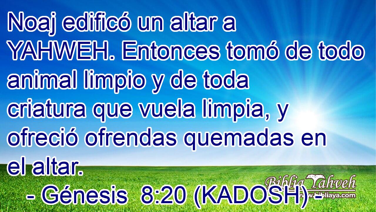  Noaj edificó un altar a YAHWEH. Entonces tomó de todo animal limpio y de toda criatura que vuela limpia, y ofreció ofrendas quemadas en el altar. 