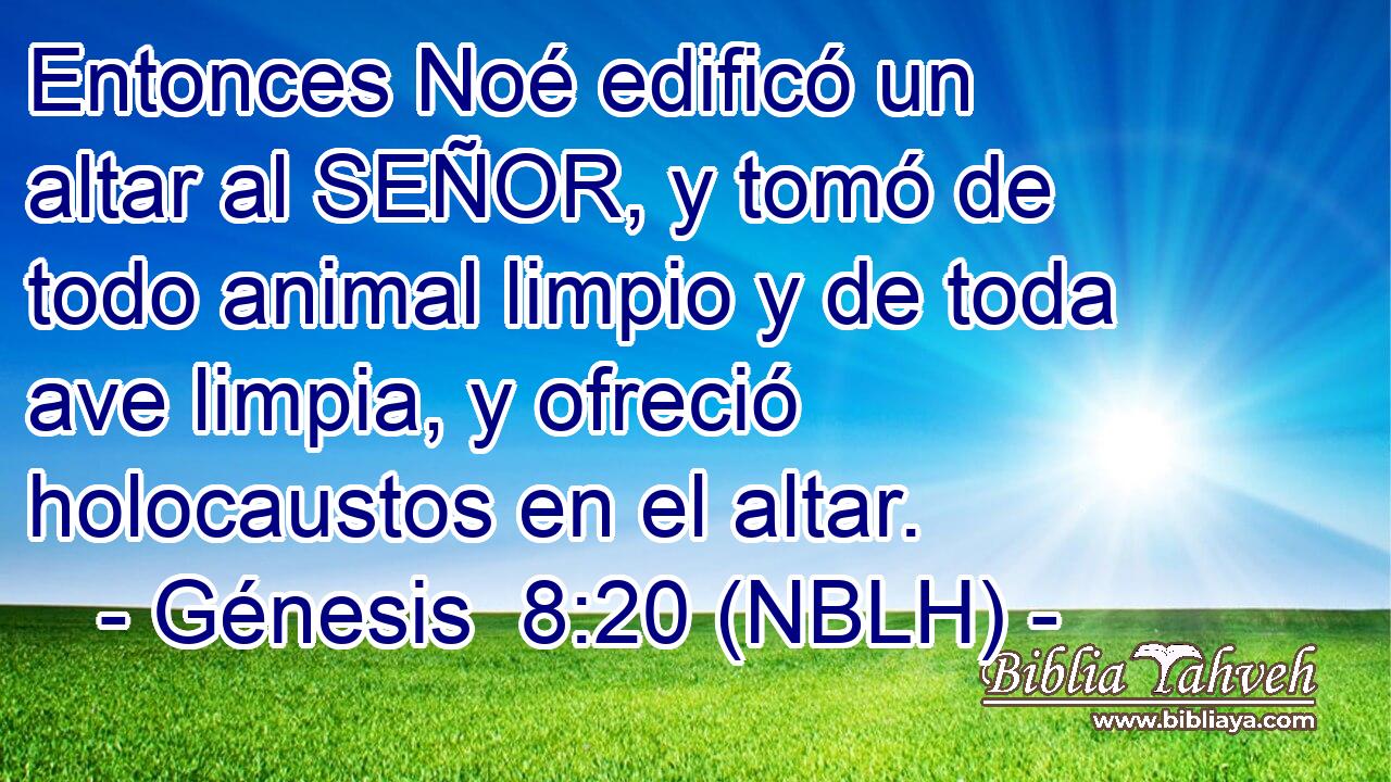  Entonces Noé edificó un altar al SEÑOR, y tomó de todo animal limpio y de toda ave limpia, y ofreció holocaustos en el altar. 