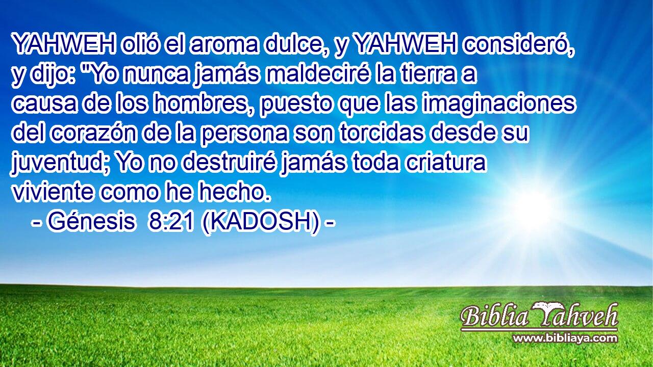  YAHWEH olió el aroma dulce, y YAHWEH consideró, y dijo: 
