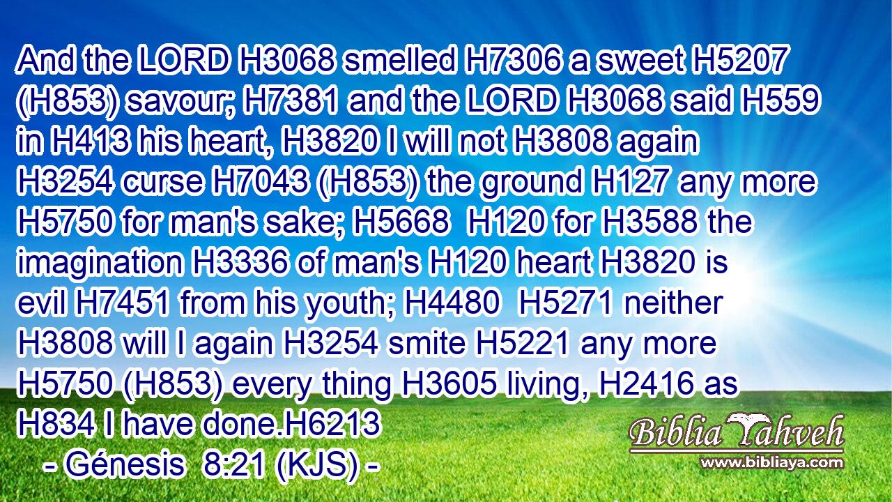And the LORD H3068 smelled H7306 a sweet H5207 (H853) savour; H7381 and the LORD H3068 said H559 in H413 his heart, H3820 I will not H3808 again H3254 curse H7043 (H853) the ground H127 any more H5750 for man's sake; H5668  H120 for H3588 the imagination H3336 of man's H120 heart H3820 is evil H7451 from his youth; H4480  H5271 neither H3808 will I again H3254 smite H5221 any more H5750 (H853) every thing H3605 living, H2416 as H834 I have done.H6213