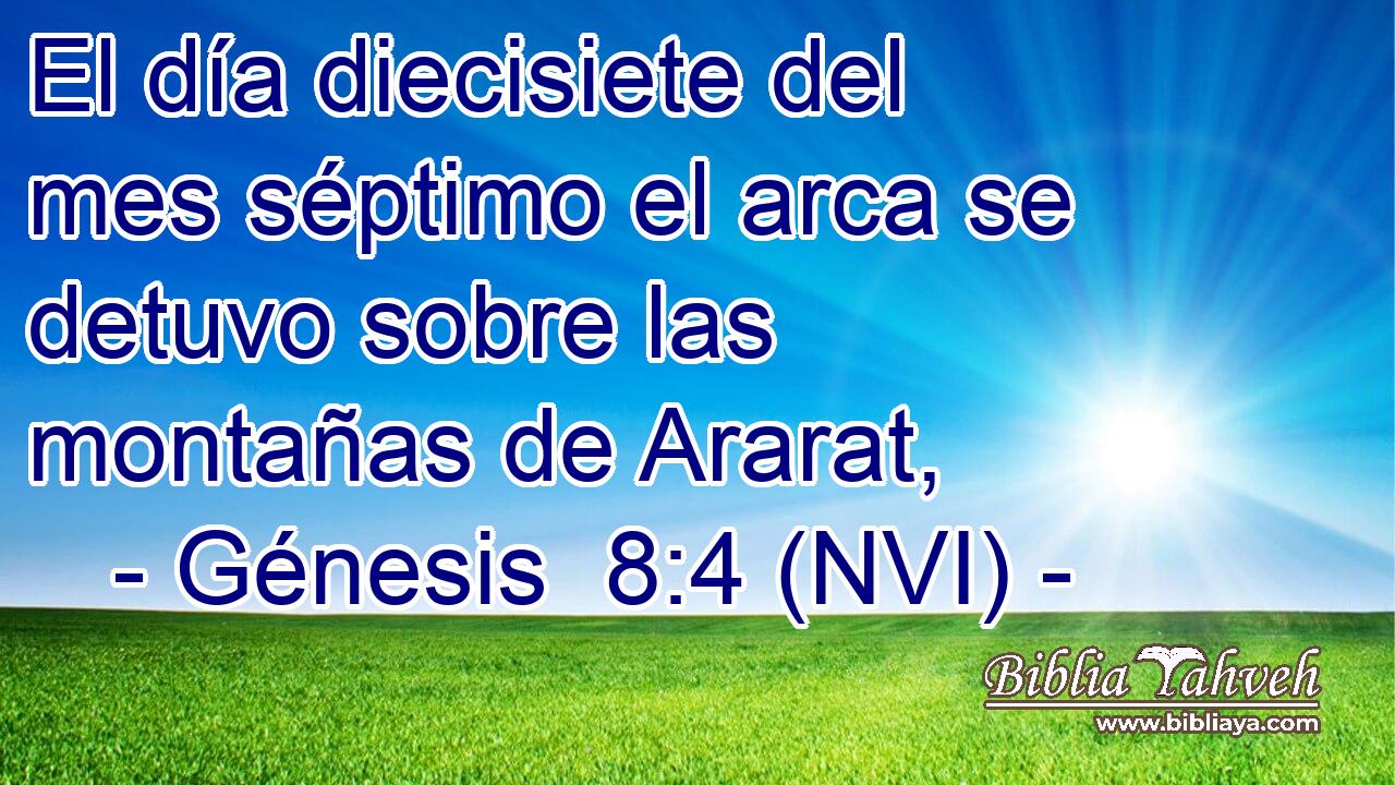  El día diecisiete del mes séptimo el arca se detuvo sobre las montañas de Ararat, 