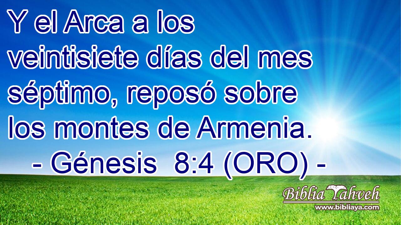  Y el Arca a los veintisiete días del mes séptimo, reposó sobre los montes de Armenia. 