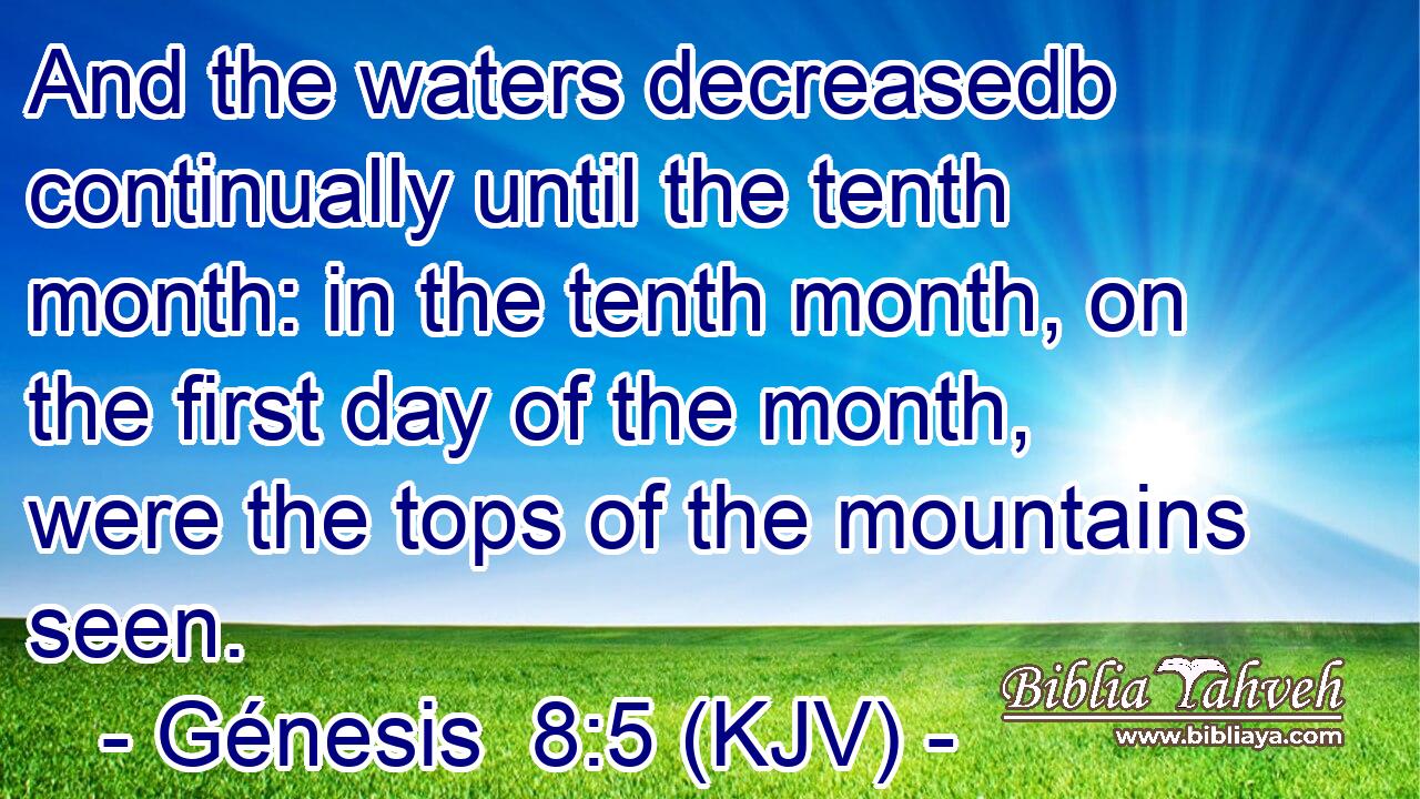 And the waters decreasedb continually until the tenth month: in the tenth month, on the first day of the month, were the tops of the mountains seen.