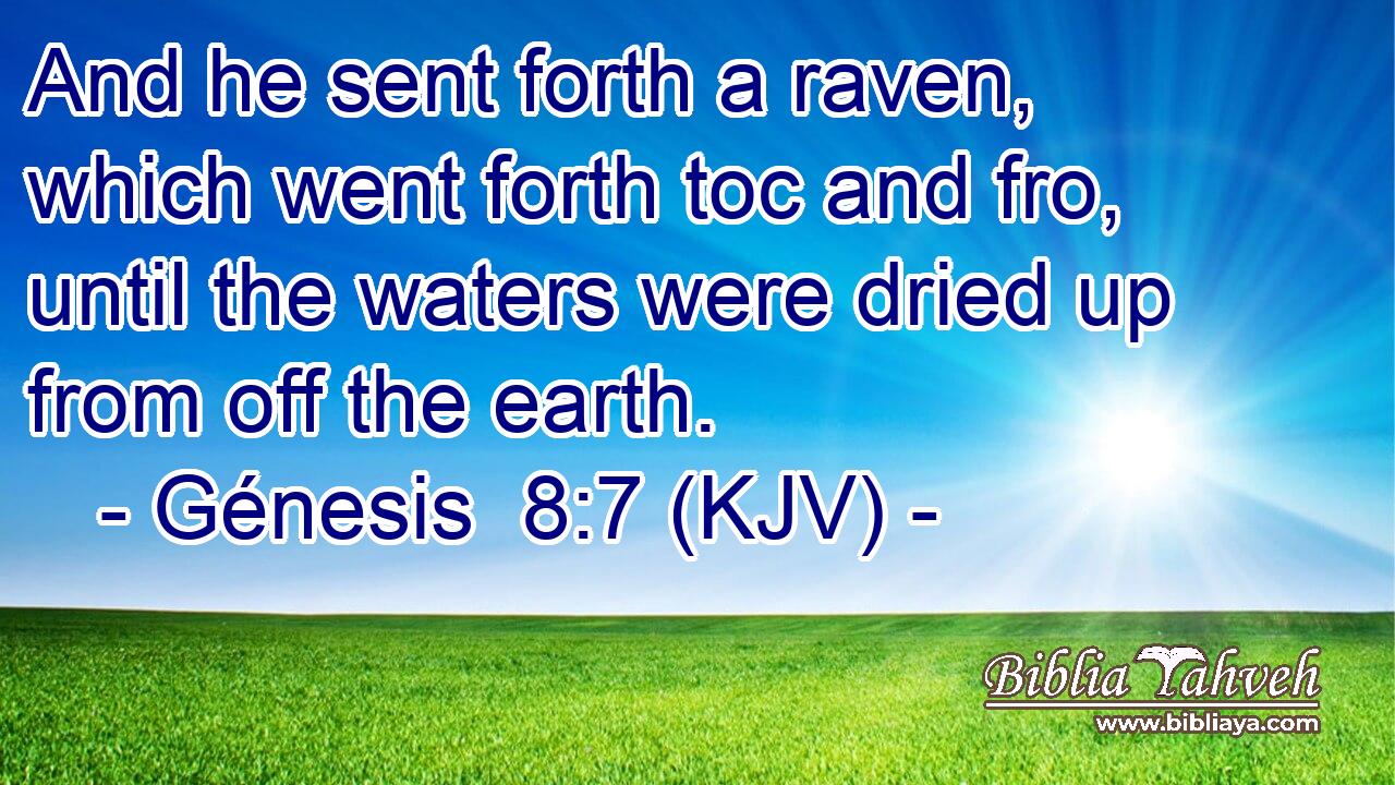And he sent forth a raven, which went forth toc and fro, until the waters were dried up from off the earth.