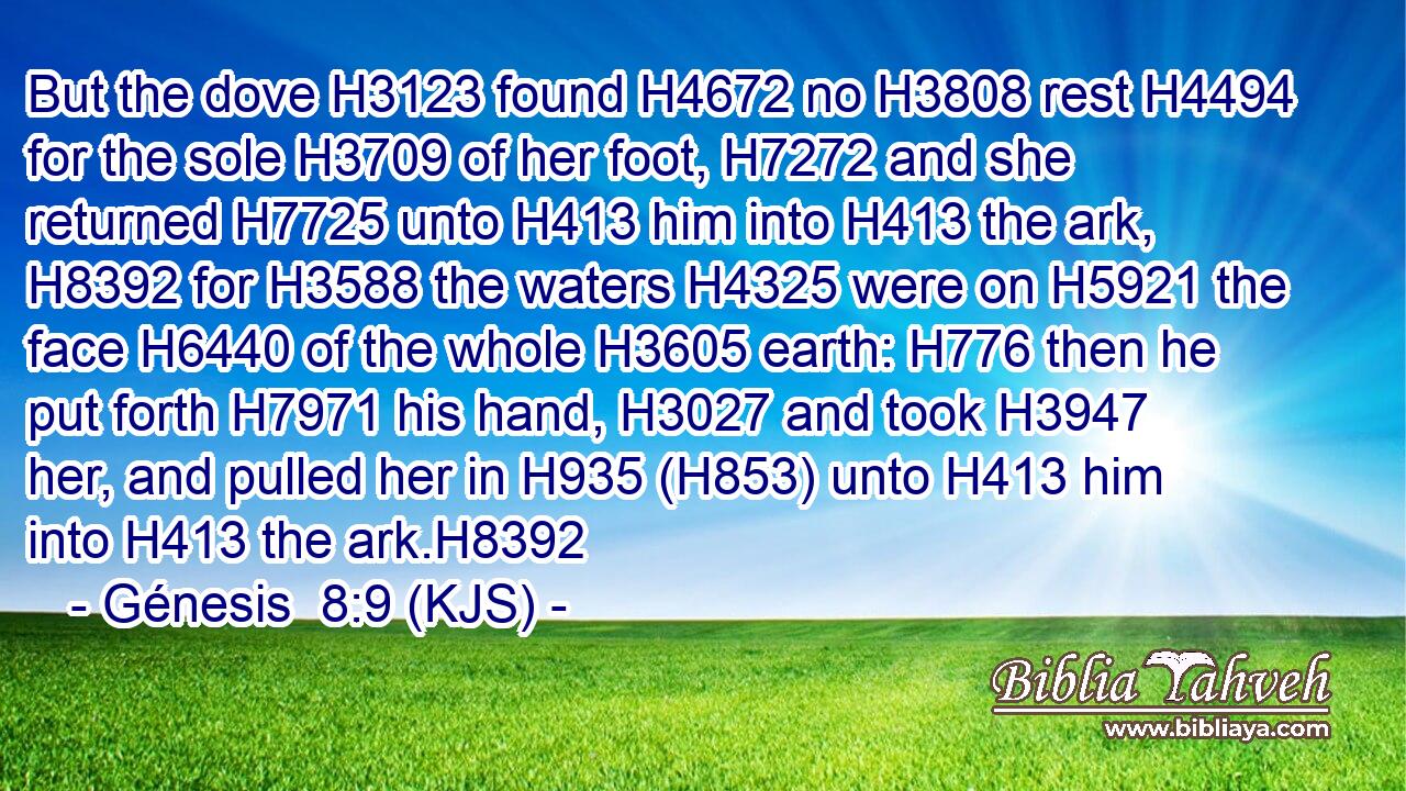 But the dove H3123 found H4672 no H3808 rest H4494 for the sole H3709 of her foot, H7272 and she returned H7725 unto H413 him into H413 the ark, H8392 for H3588 the waters H4325 were on H5921 the face H6440 of the whole H3605 earth: H776 then he put forth H7971 his hand, H3027 and took H3947 her, and pulled her in H935 (H853) unto H413 him into H413 the ark.H8392