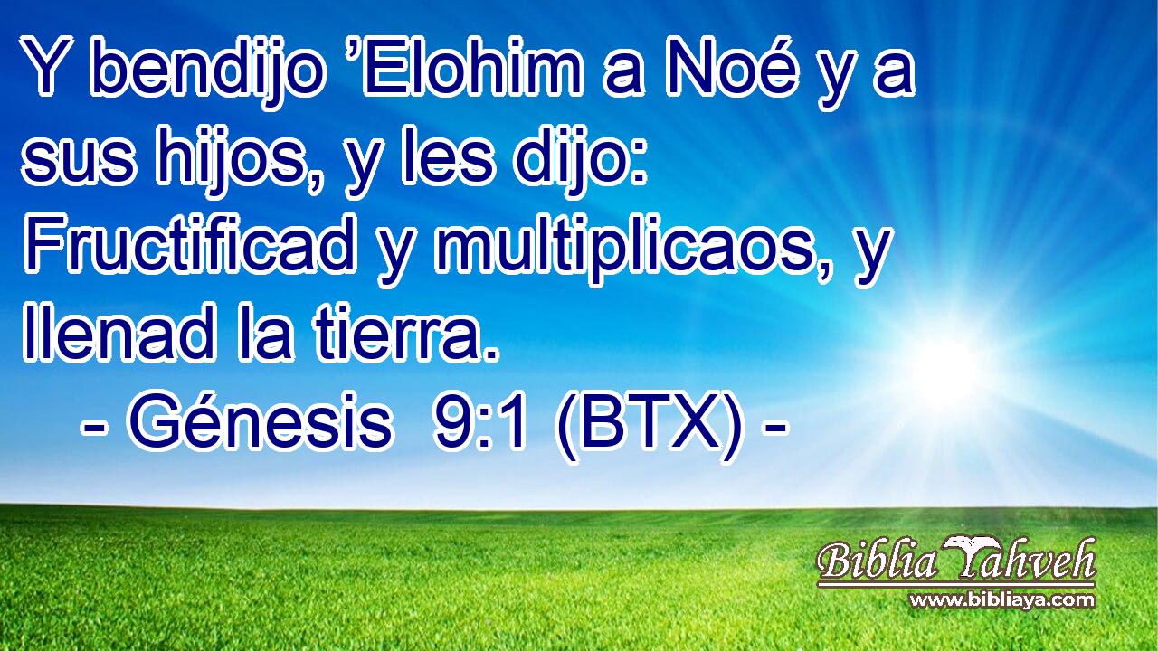 Y bendijo ’Elohim a Noé y a sus hijos, y les dijo: Fructificad y multiplicaos, y llenad la tierra.