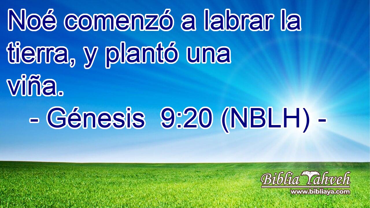  Noé comenzó a labrar la tierra, y plantó una viña. 