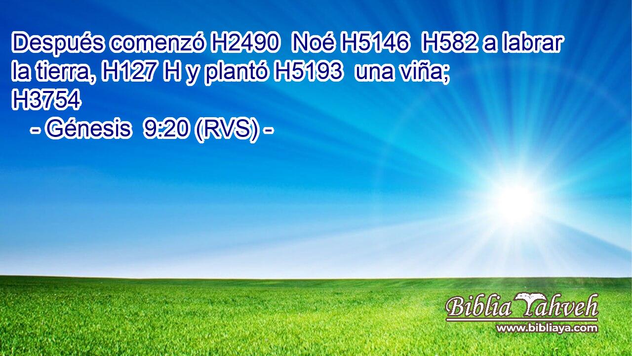 Después comenzó H2490  Noé H5146  H582 a labrar la tierra, H127 H y plantó H5193  una viña; H3754  