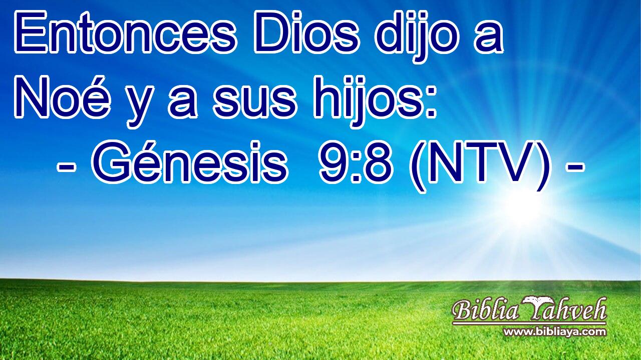 Entonces Dios dijo a Noé y a sus hijos: