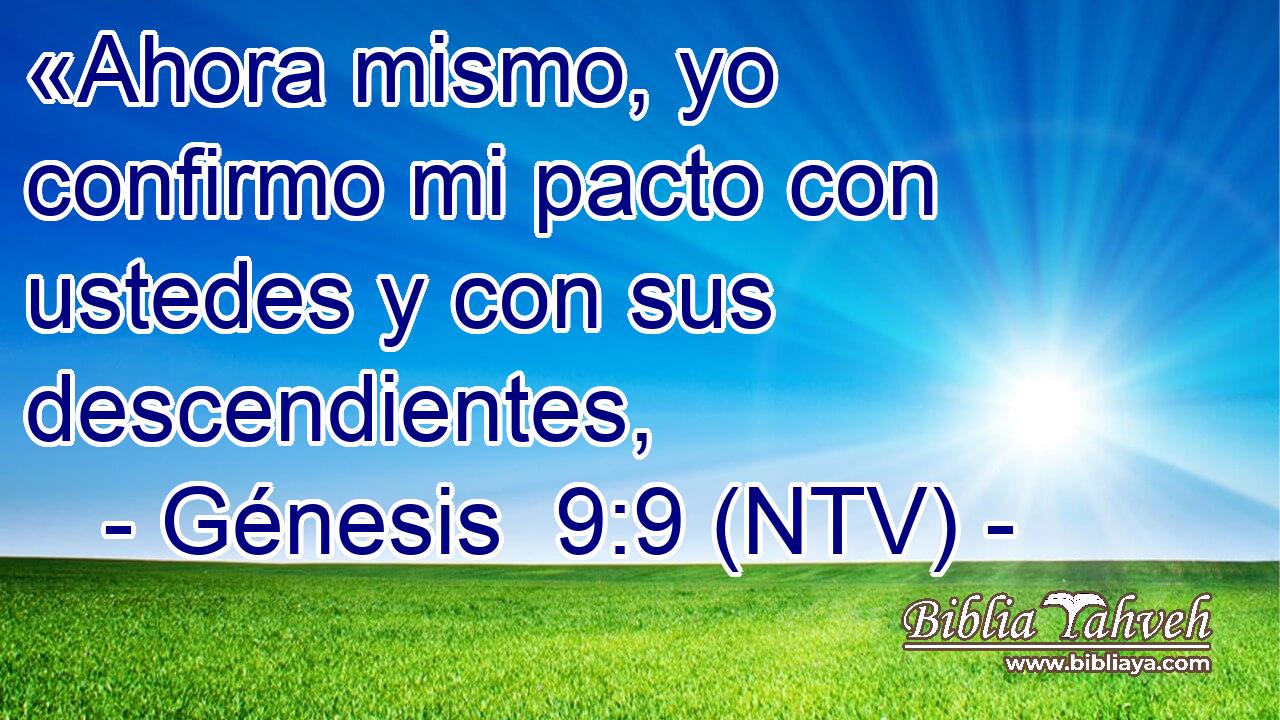 «Ahora mismo, yo confirmo mi pacto con ustedes y con sus descendientes,