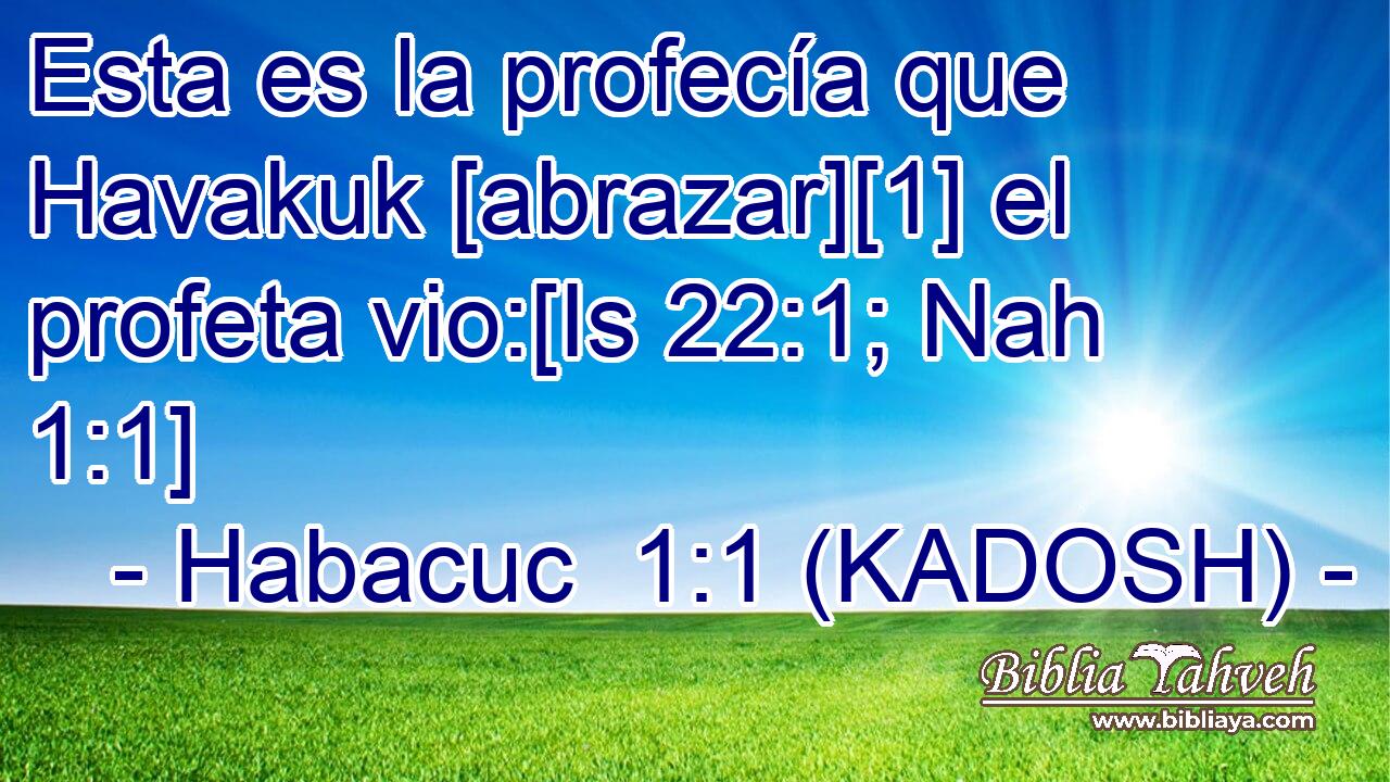  Esta es la profecía que Havakuk [abrazar][1] el profeta vio:[Is 22:1; Nah 1:1] 