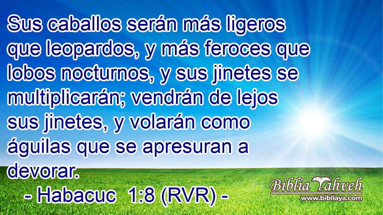 Sus caballos serán más ligeros que leopardos, y más feroces que lobos nocturnos, y sus jinetes se multiplicarán; vendrán de lejos sus jinetes, y volarán como águilas que se apresuran a devorar.