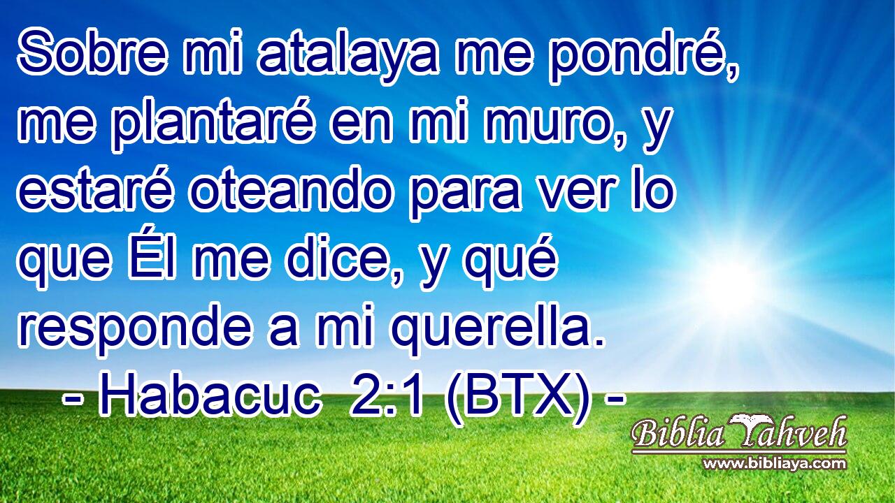 Sobre mi atalaya me pondré, me plantaré en mi muro, y estaré oteando para ver lo que Él me dice, y qué responde a mi querella.