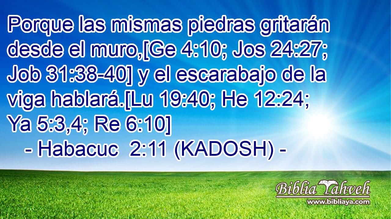  Porque las mismas piedras gritarán desde el muro,[Ge 4:10; Jos 24:27; Job 31:38-40] y el escarabajo de la viga hablará.[Lu 19:40; He 12:24; Ya 5:3,4; Re 6:10] 