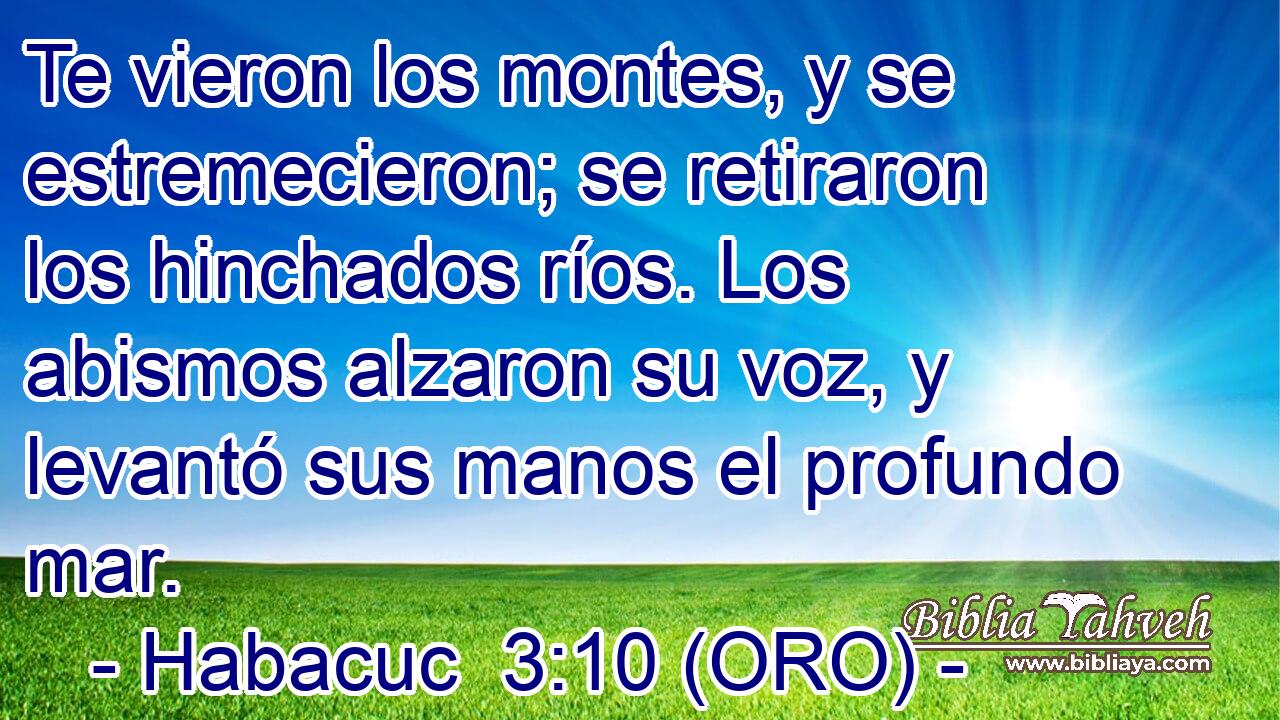  Te vieron los montes, y se estremecieron; se retiraron los hinchados ríos. Los abismos alzaron su voz, y levantó sus manos el profundo mar. 
