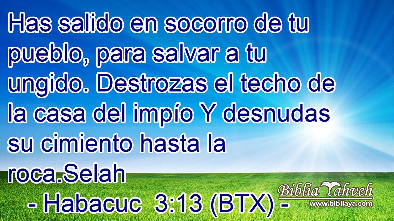 Has salido en socorro de tu pueblo, para salvar a tu ungido. Destrozas el techo de la casa del impío Y desnudas su cimiento hasta la roca.Selah