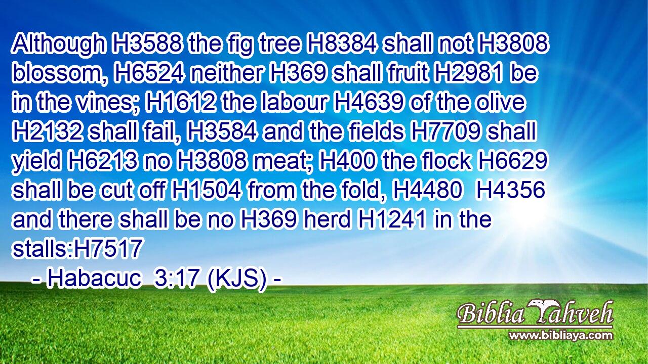 Although H3588 the fig tree H8384 shall not H3808 blossom, H6524 neither H369 shall fruit H2981 be in the vines; H1612 the labour H4639 of the olive H2132 shall fail, H3584 and the fields H7709 shall yield H6213 no H3808 meat; H400 the flock H6629 shall be cut off H1504 from the fold, H4480  H4356 and there shall be no H369 herd H1241 in the stalls:H7517